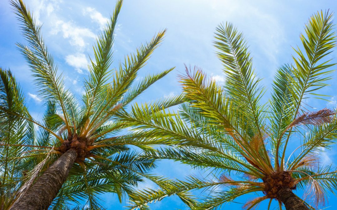 Mallorca knackt erstmals in 2023 die 30 Grad